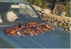 Κυνήγι μπεκάτσας Νοέμβριος 1992