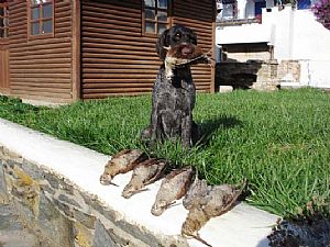 Xawer v.d.Dachswiese