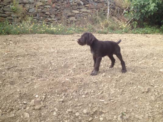 Το νέο μας απόκτημα 