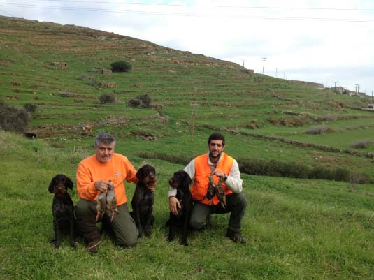 15 Δεκεμβρίου 2013