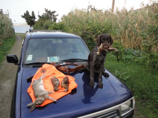 Μιά καλή αρχή για τον Δεκέμβρη