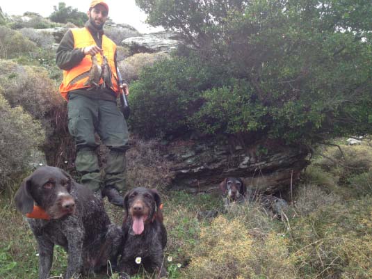 20 Νοέμβρη 2013