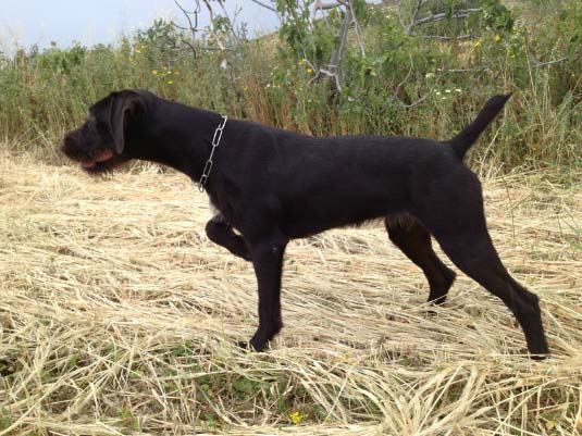 Nora III v. Bockenhagen