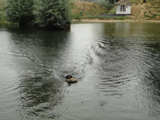 Nora III v.Bockenhagen