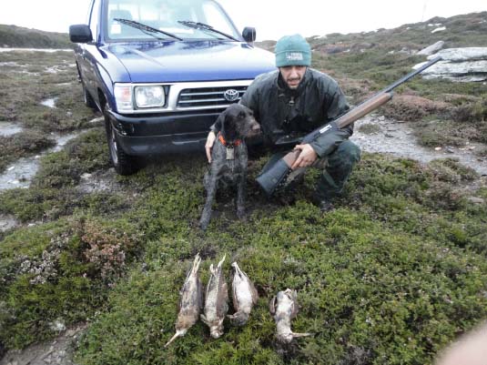 Μπεκάτσες με βροχή