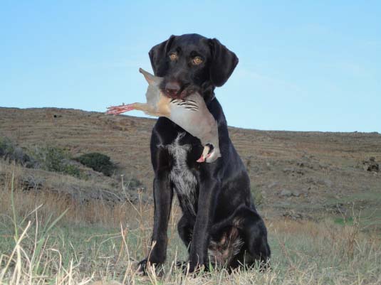 Nora III v.Bockenhagen