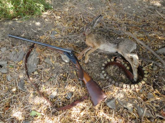 Ο πρώτος λαγός της χρονιάς