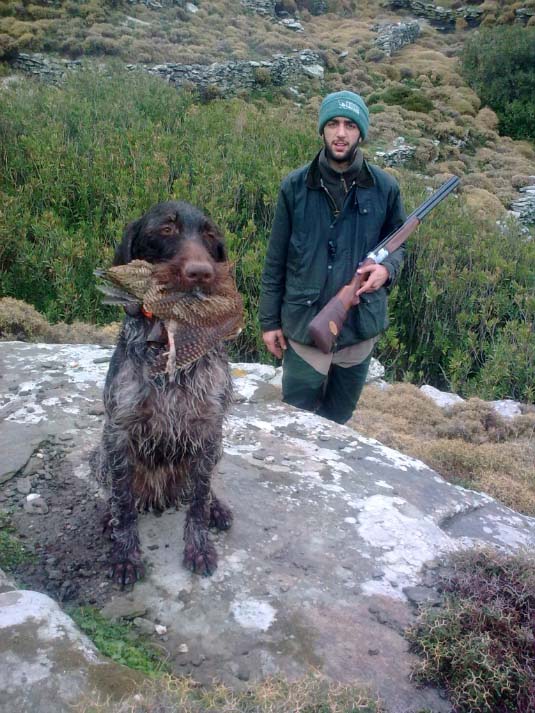 Κυνήγι μπεκάτσας στην Τήνο