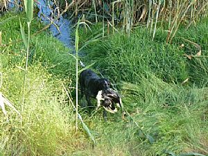 Επαναφορά από το νερό Wella Kykladon