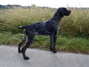 Hegewald 2008 - Wendy II V.Bockenhagen