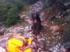 Κυνήγι φασιανού στό Αταλαντονήσι με τον Bruno