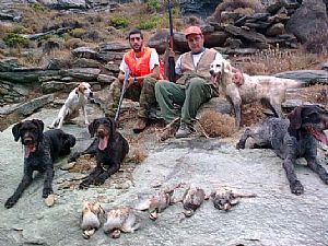 Κυνήγι πέρδικας με Conny - Xawer - Tina