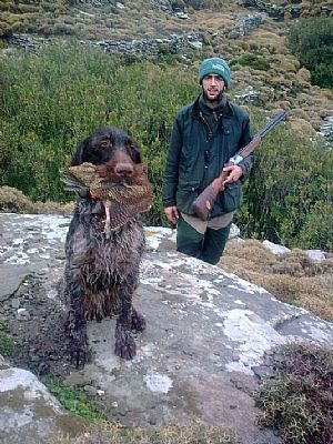 Κυνήγι μπεκάτσας