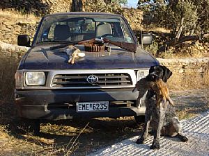 Κυνήγι κουνελιού με την Wella