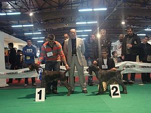 Διεθνής έκθεση ΟΚΑ 2011 Xawer- Wella