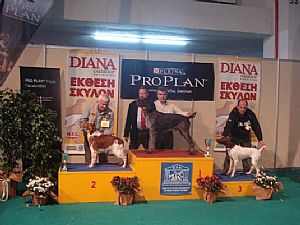 Διεθνής έκθεση ΟΚΑ 2011--Nero