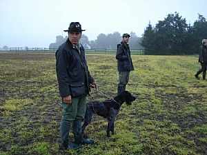'Αναμονή για Ιχνιλασία ζωντανού λαγού από την Wella