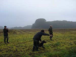 Ιχνιλασία ζωντανού λαγού από την Wella
