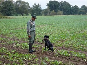 Hegewald 2008 - Drahthaarkykladon 