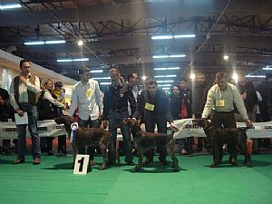 Διεθνής έκθεση ΟΚΑ 2011 Nero