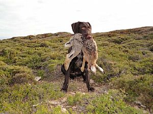 Nora III v.Bockenhagen