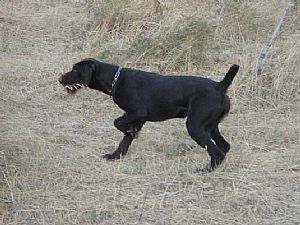 Nora III v.Bockenhagen 