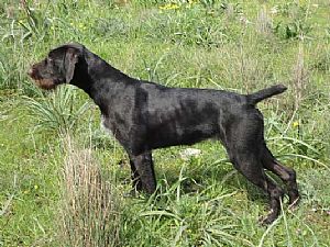 Nora III v.Bockenhagen