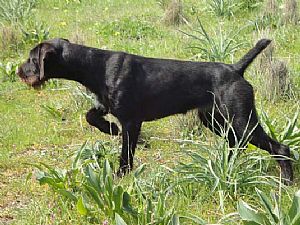 Nora III v.Bockenhagen