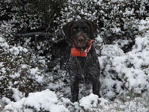 Xawer v.d.Dachswiese 