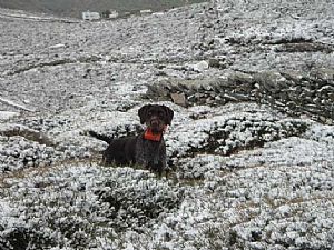 Xawer Ιανουάριος με χιόνια