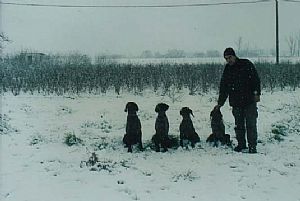 Εαρινή και φθινοπωρινή δοκιμασία Λαγκαδάς 2003