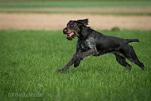 /Olga II Kykladon   HZP - 3 /10 /2014 Γερμανία