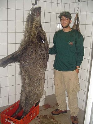 Κυνήγι Αγριογούρουνου στήν Γερμανία με τον Νίκο Κρητικός