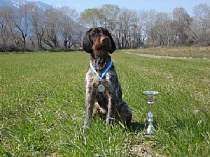 Κύπελο Κ.Ο.Ε. 2008 - Randa Kykladon