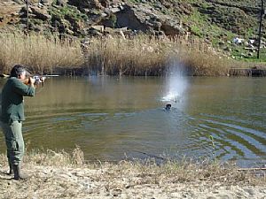 Εκπαίδευση νερού Wella Kykladon