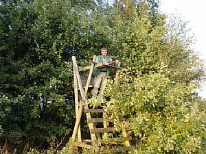 Κυνήγι ελαφιού